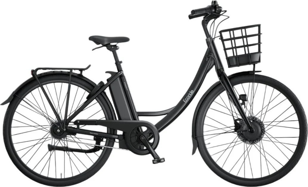 Ecoride C100 Ambassador Gen3 H-7 | SKU:7333288010410.jpeg