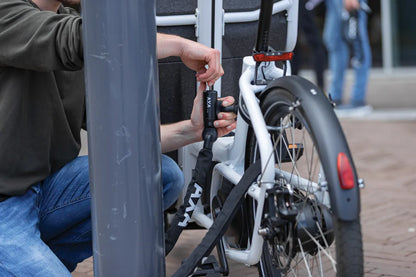 Axa linq city 180 chain lock