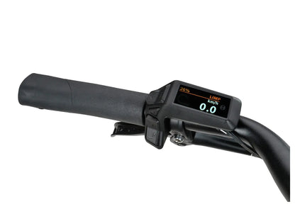 Batavus Altura E-go Elcykel 28" - Mattsvart