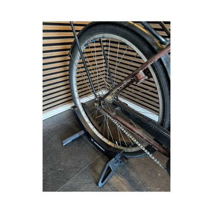 Öresund Damcykel 3-växlad 51 cm - Brun